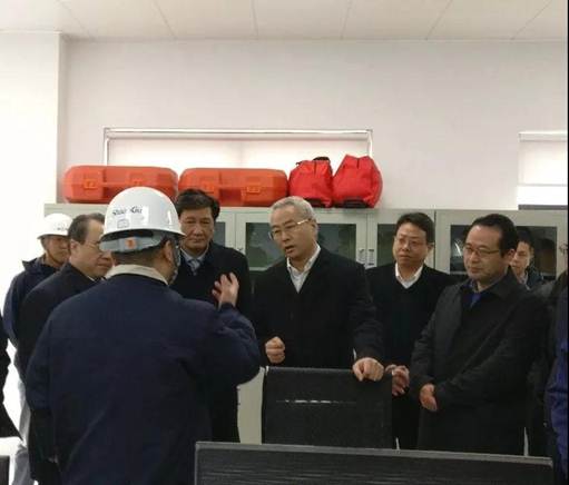 浙江省丽水市市长吴晓东前往浙江永利集团能源开发有限公司考察调研